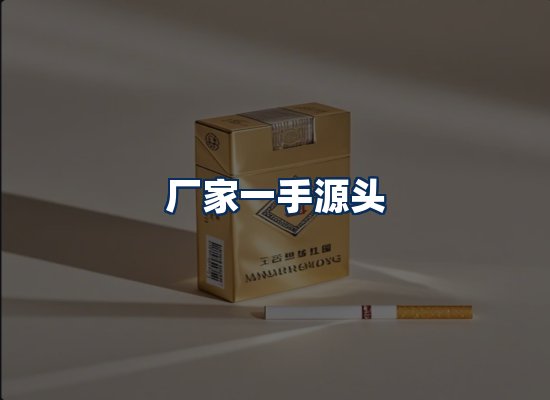 专业团队办公环境